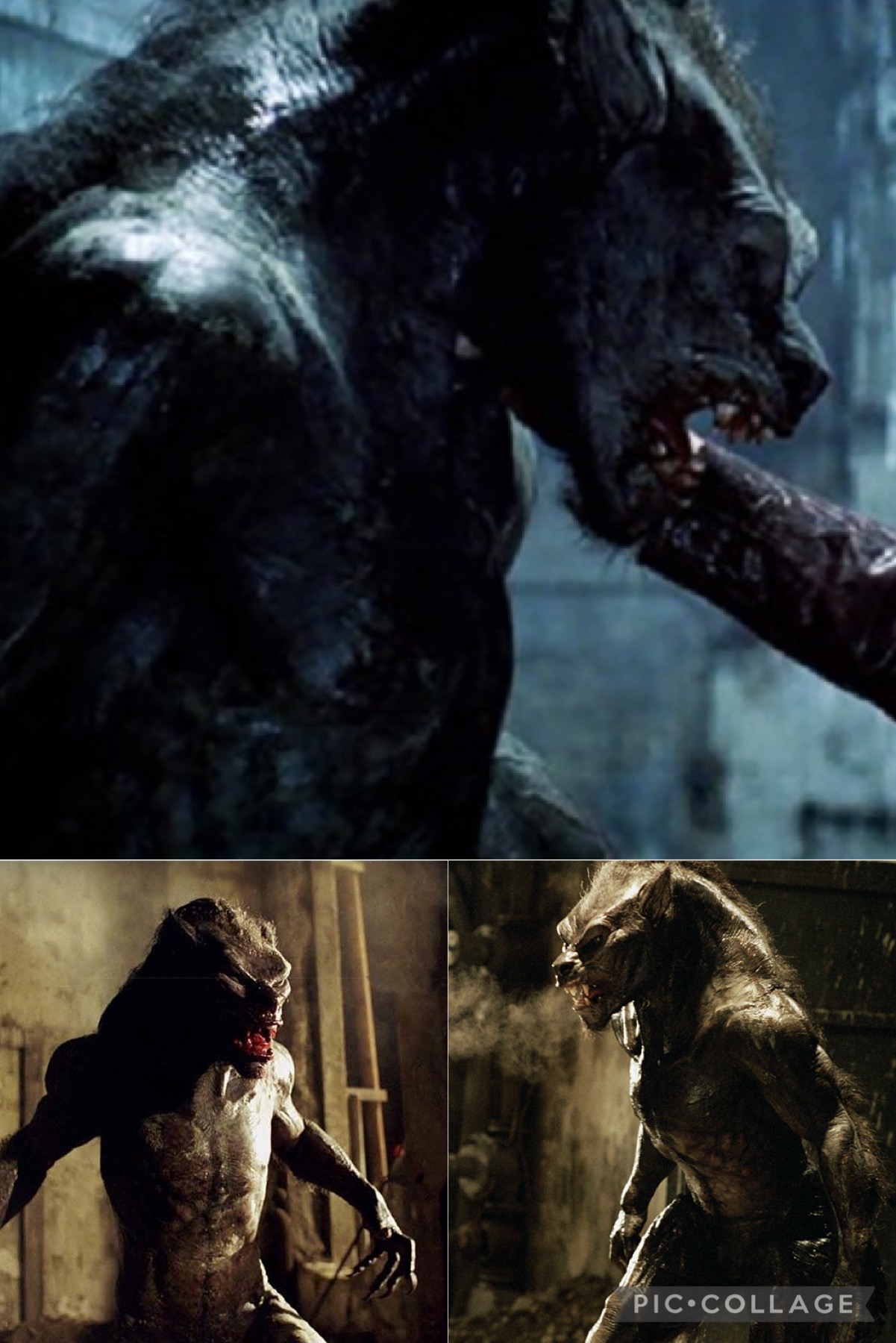 My Top 10 Favorite Werewolf Looks | Karli Ray's Blog