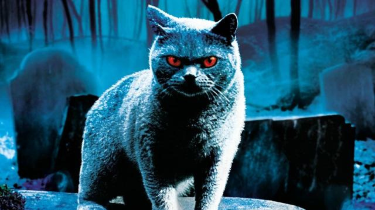 Personal Favorite Pet Sematary Quotes
